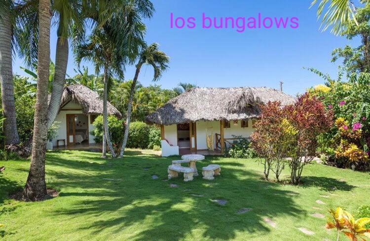 Casa Flamingo Villa Las Terrenas Exterior foto