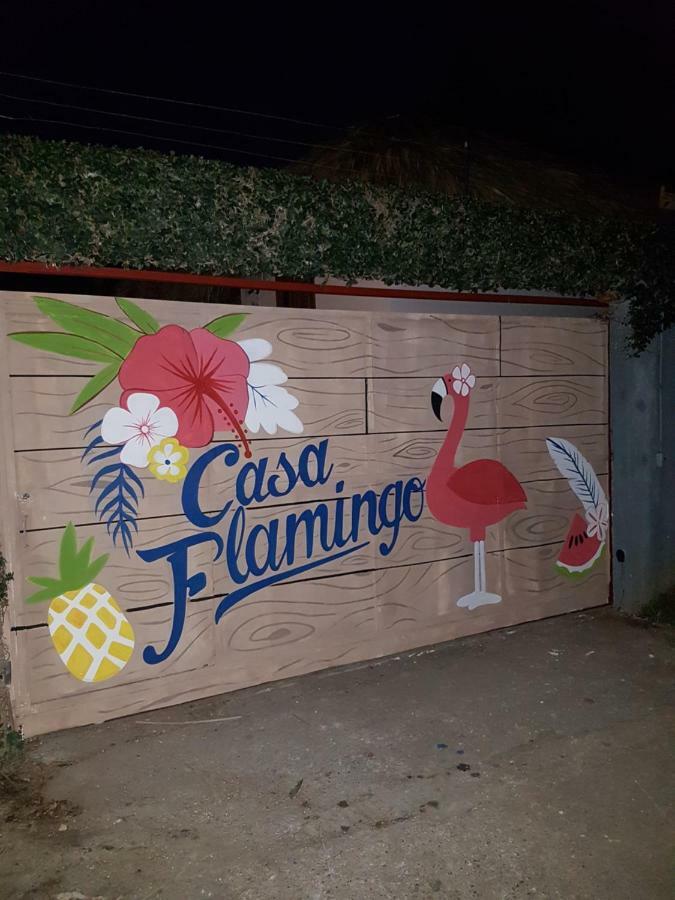 Casa Flamingo Villa Las Terrenas Exterior foto