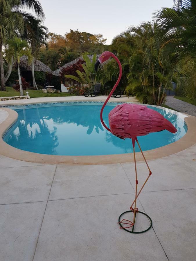 Casa Flamingo Villa Las Terrenas Exterior foto